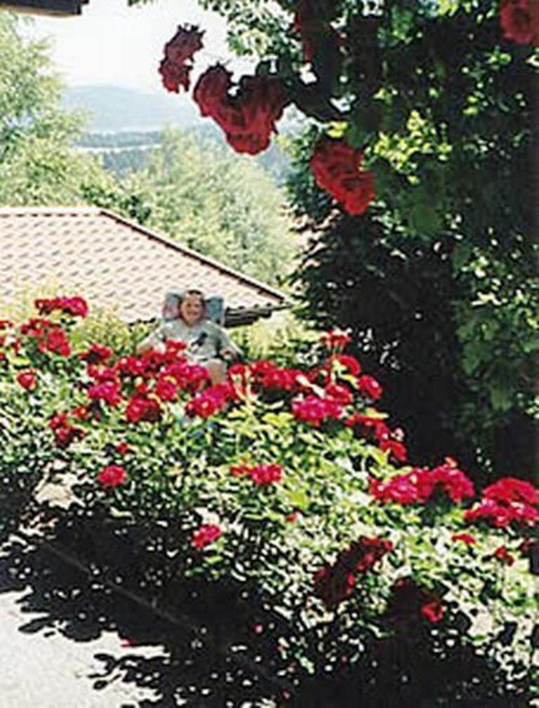 Apartament Haus Bergblick Bay. Wald Prackenbach Zewnętrze zdjęcie