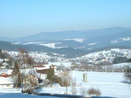 Apartament Haus Bergblick Bay. Wald Prackenbach Zewnętrze zdjęcie