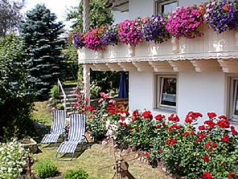 Apartament Haus Bergblick Bay. Wald Prackenbach Zewnętrze zdjęcie