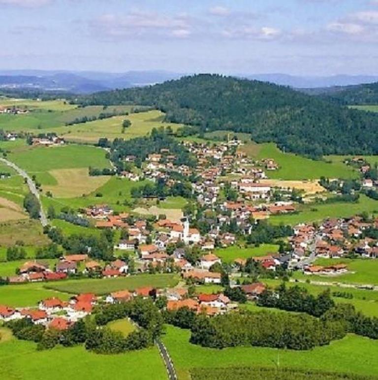 Apartament Haus Bergblick Bay. Wald Prackenbach Zewnętrze zdjęcie