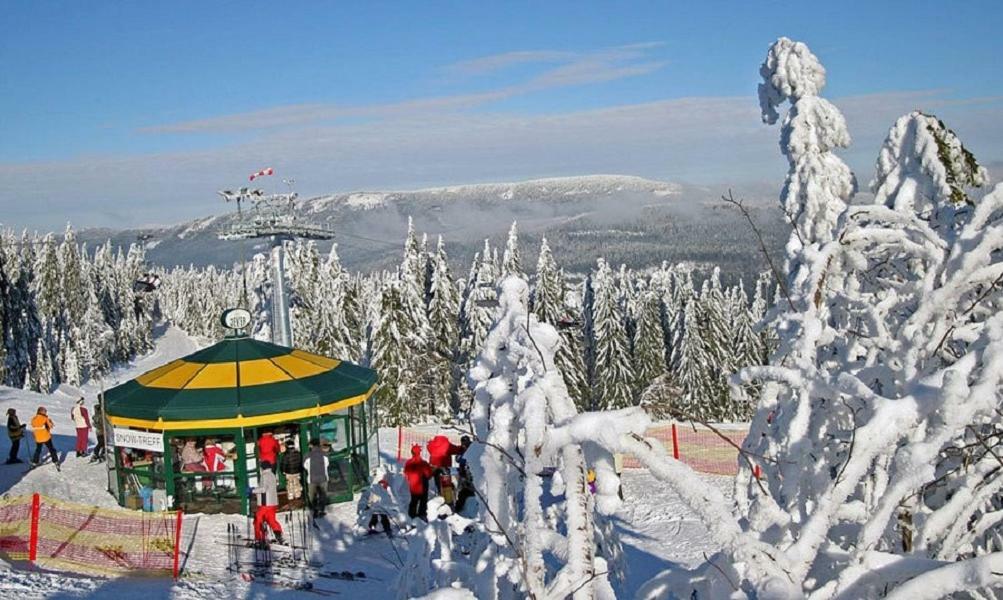 Apartament Haus Bergblick Bay. Wald Prackenbach Zewnętrze zdjęcie