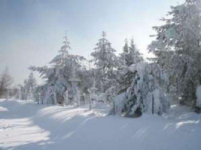 Apartament Haus Bergblick Bay. Wald Prackenbach Zewnętrze zdjęcie